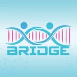 bridge android application logo